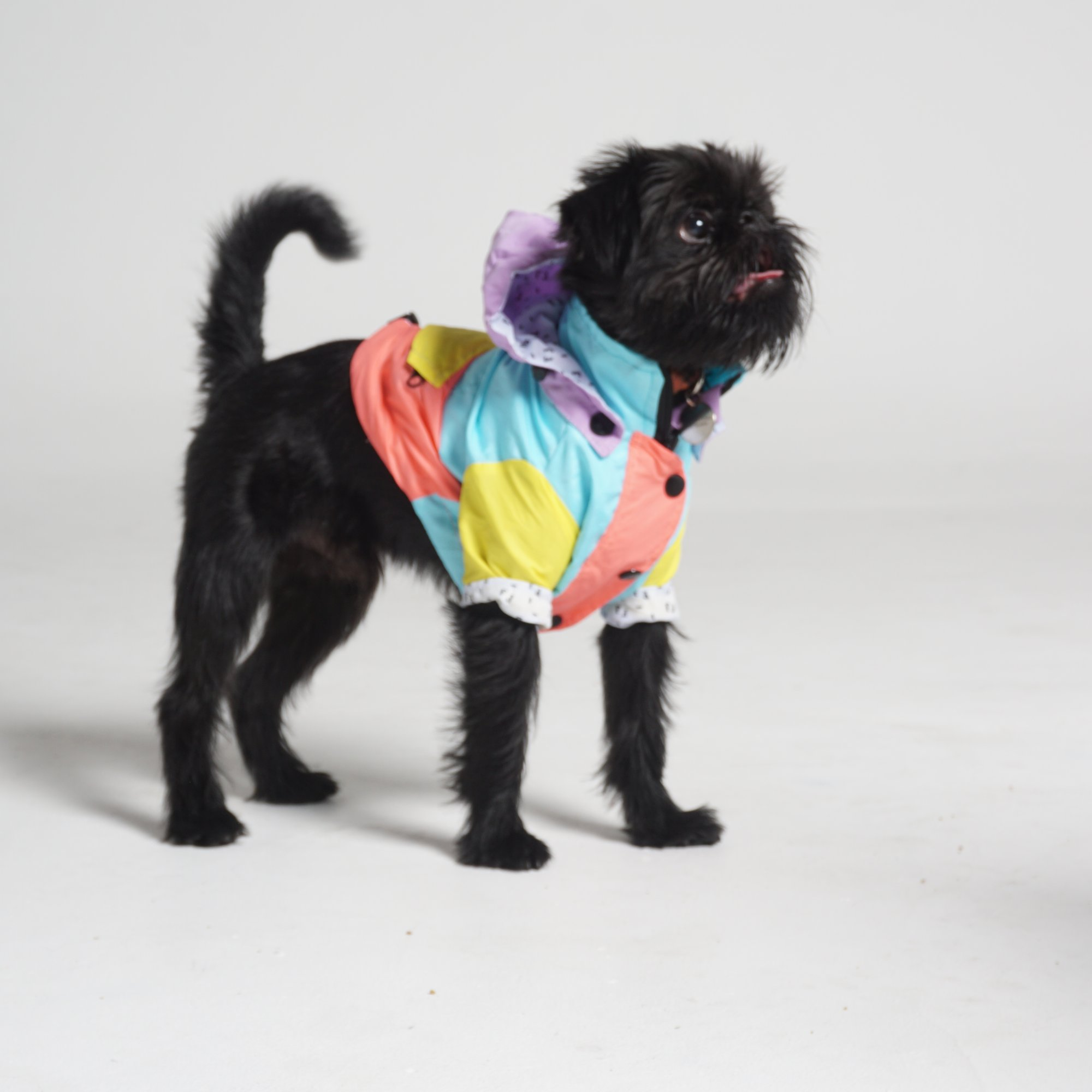 Ropa para perros