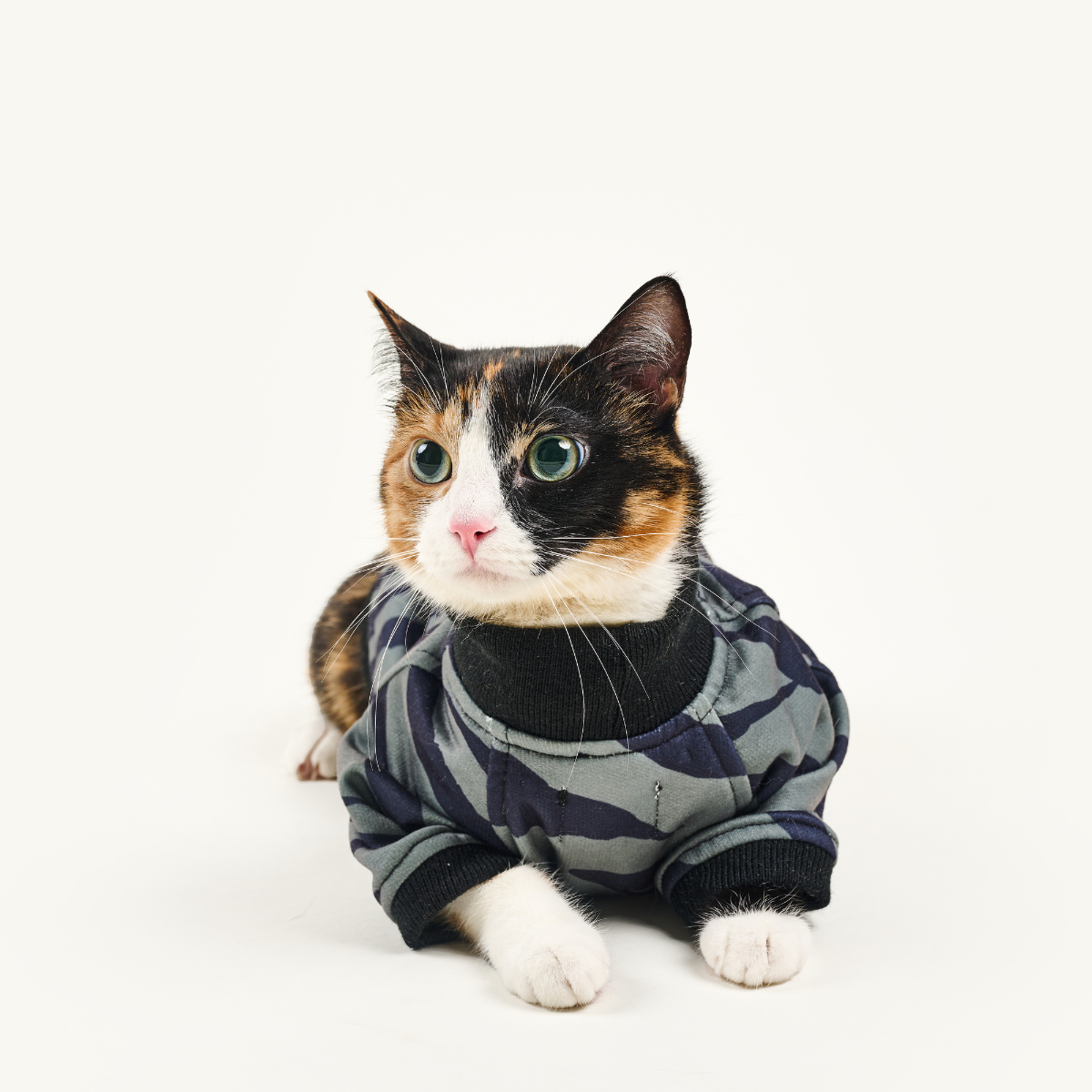 Ropa Para Gatos