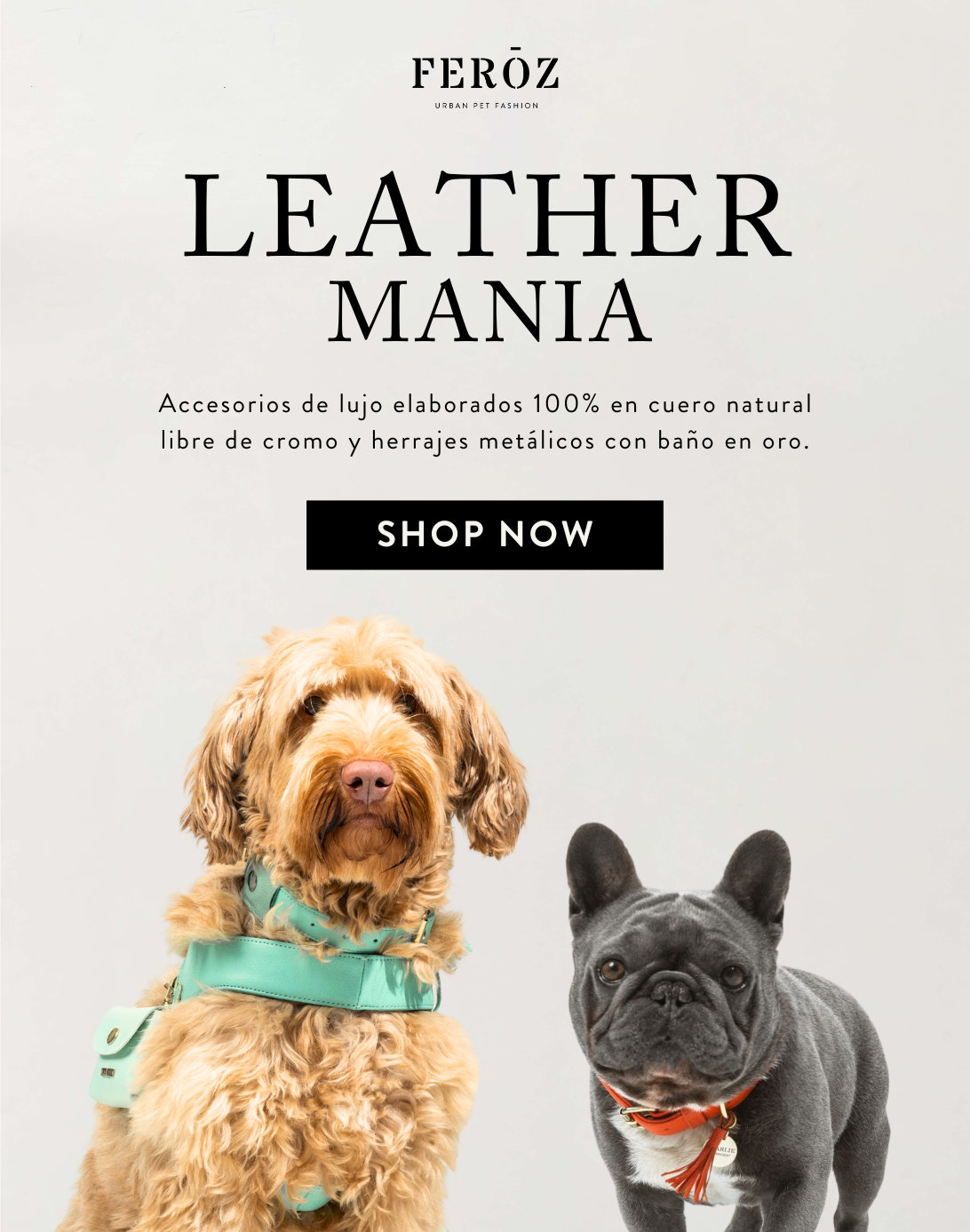 BANNER_MOBILE_LEATHER_MANIA.png