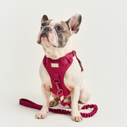 Arnés deportivo BASIC Vinotinto