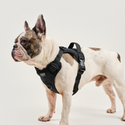 Arnés deportivo BASIC Negro