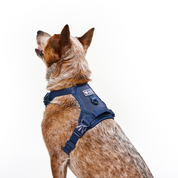 Arnés deportivo BASIC Vinotinto