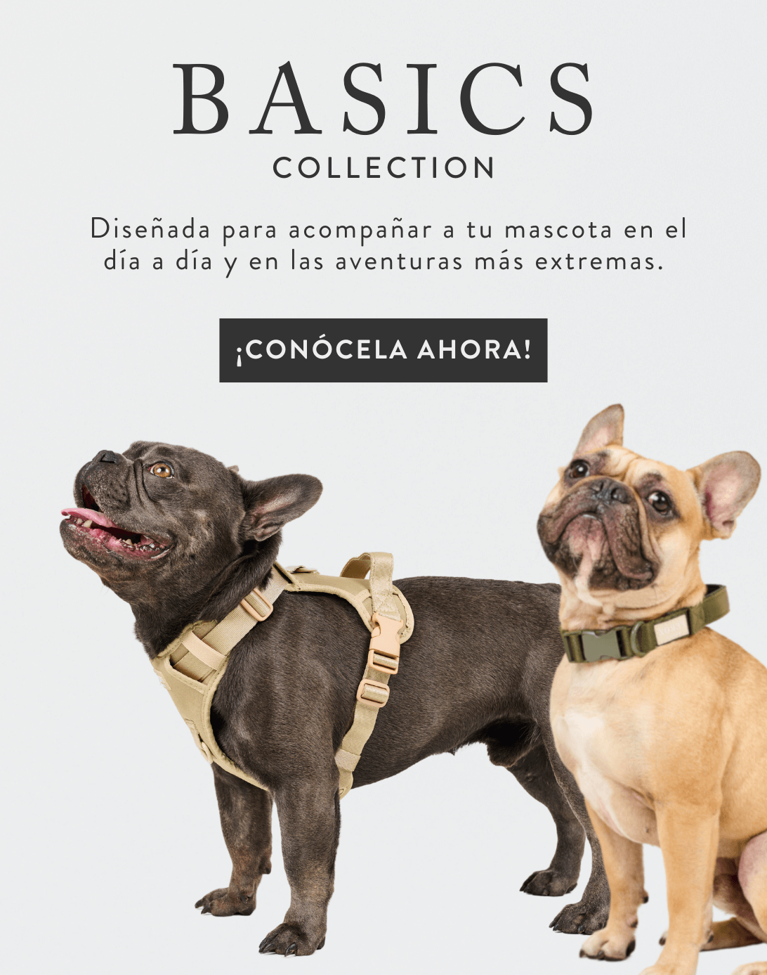 accesorios_deportivos_Basic_para_perros_Feroz_2.png