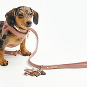 Charm salchicha con cuero rosa pálido