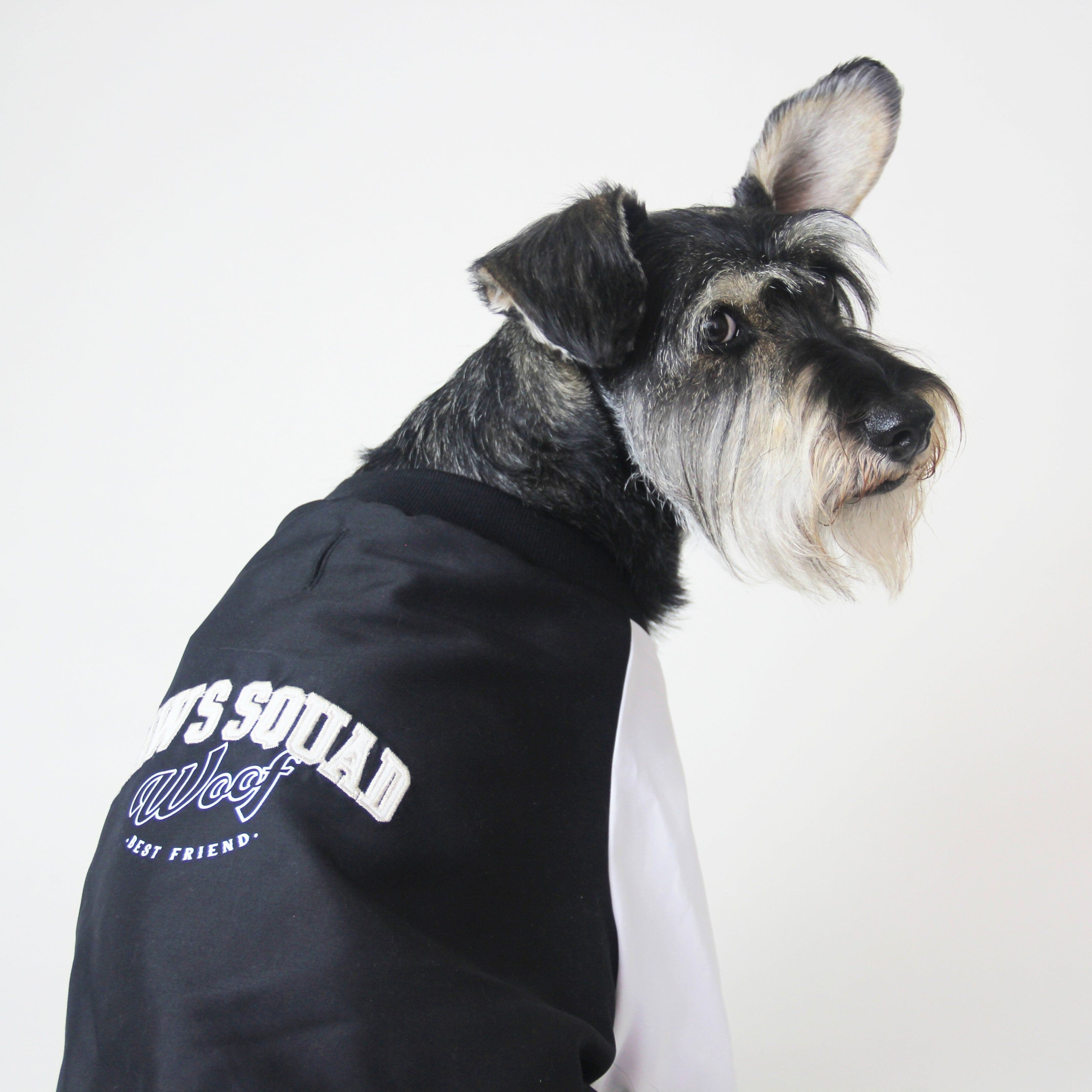 Chaqueta Bomber Para Perro Seven Seven x Feroz