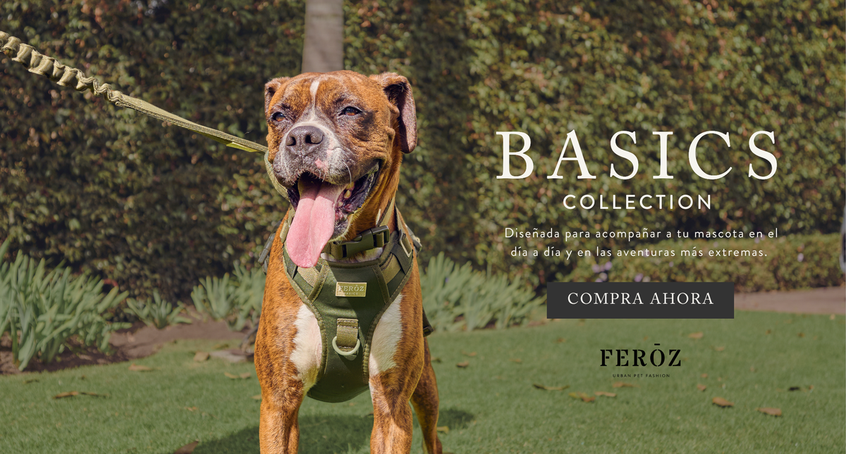 Feroz Pet Fashion