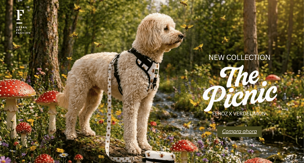 Feroz Pet Fashion