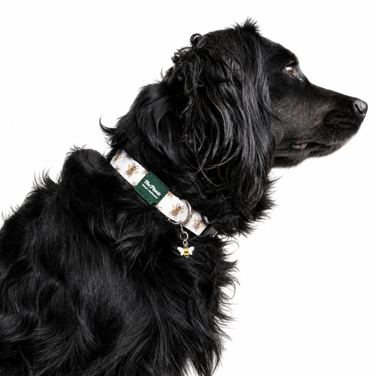 Collar_Abeja_01_1.png
