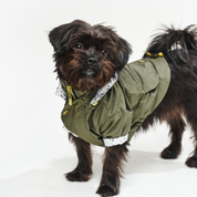 Chaqueta impermeable para perro Verde Militar