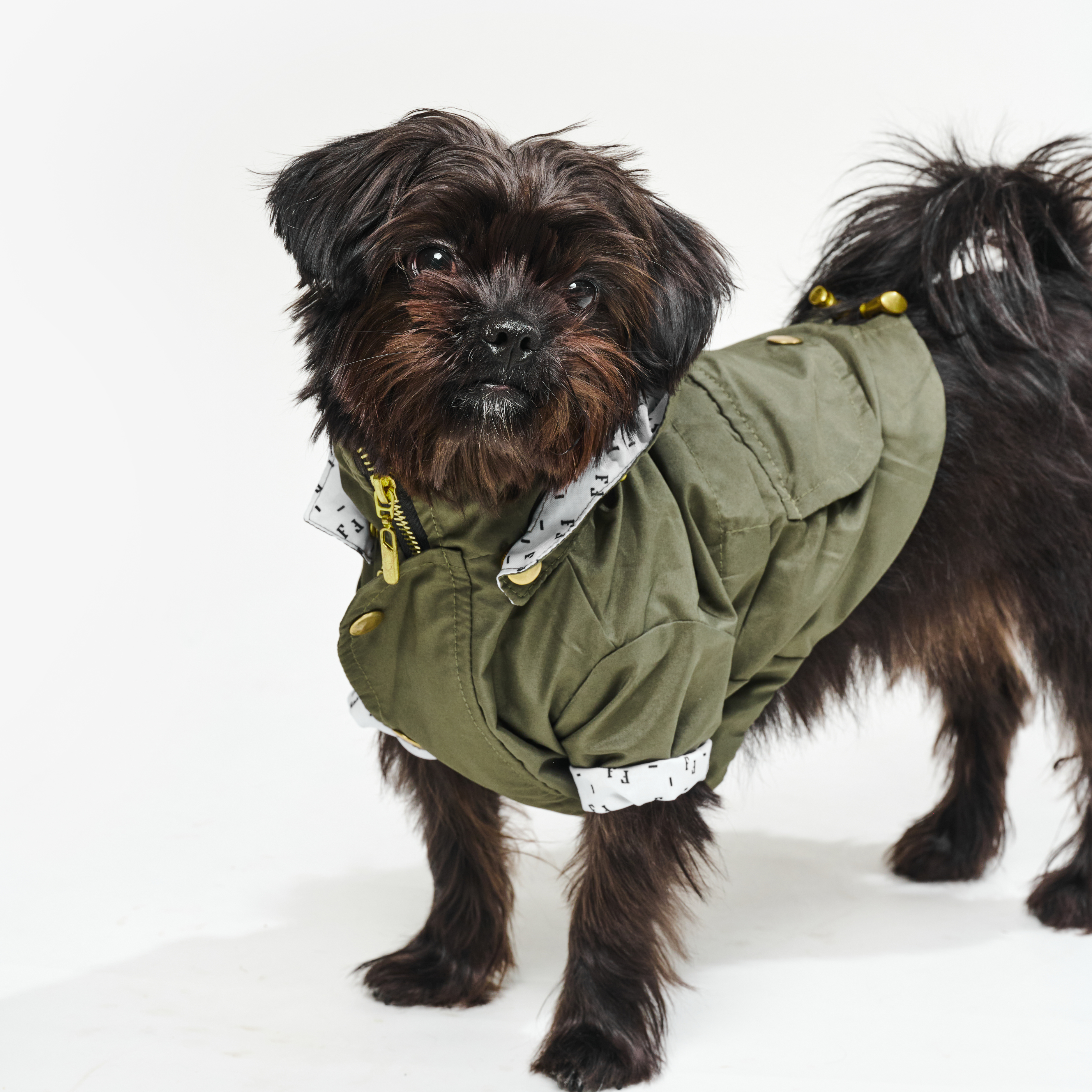 Chaqueta impermeable para perro Verde Militar