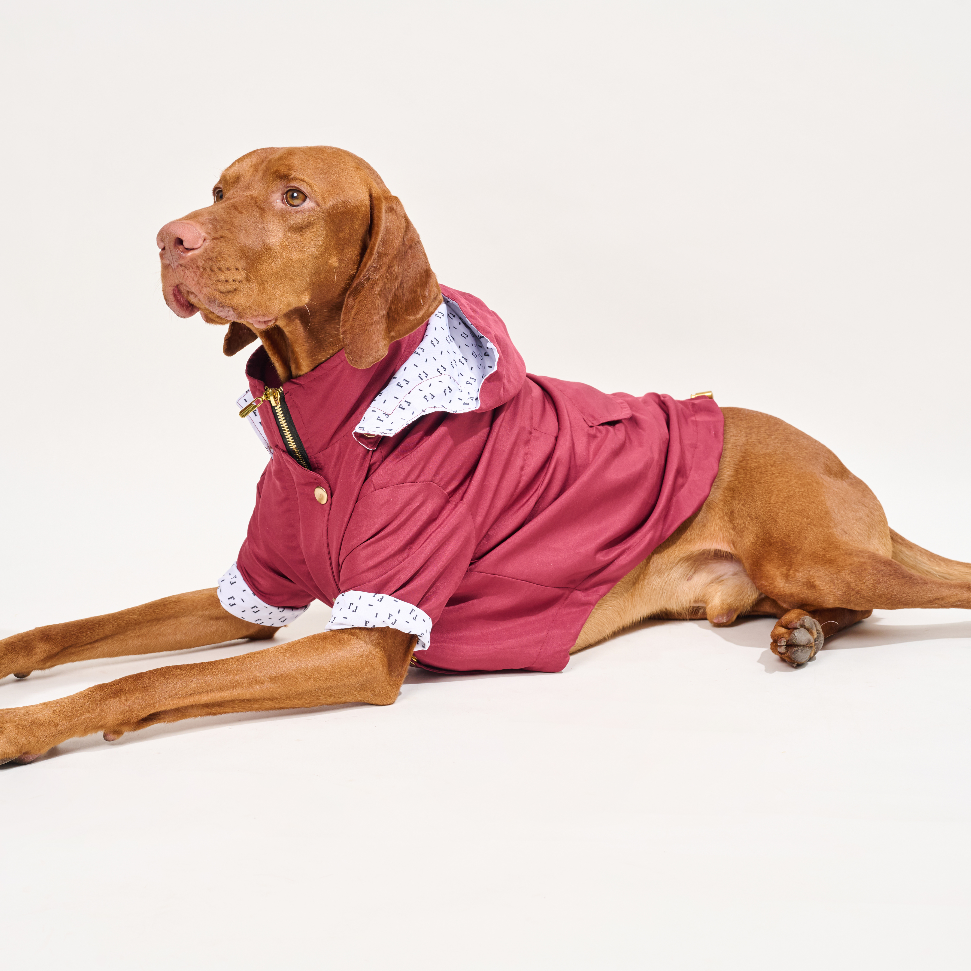 Chaqueta impermeable para perro Vinotinto