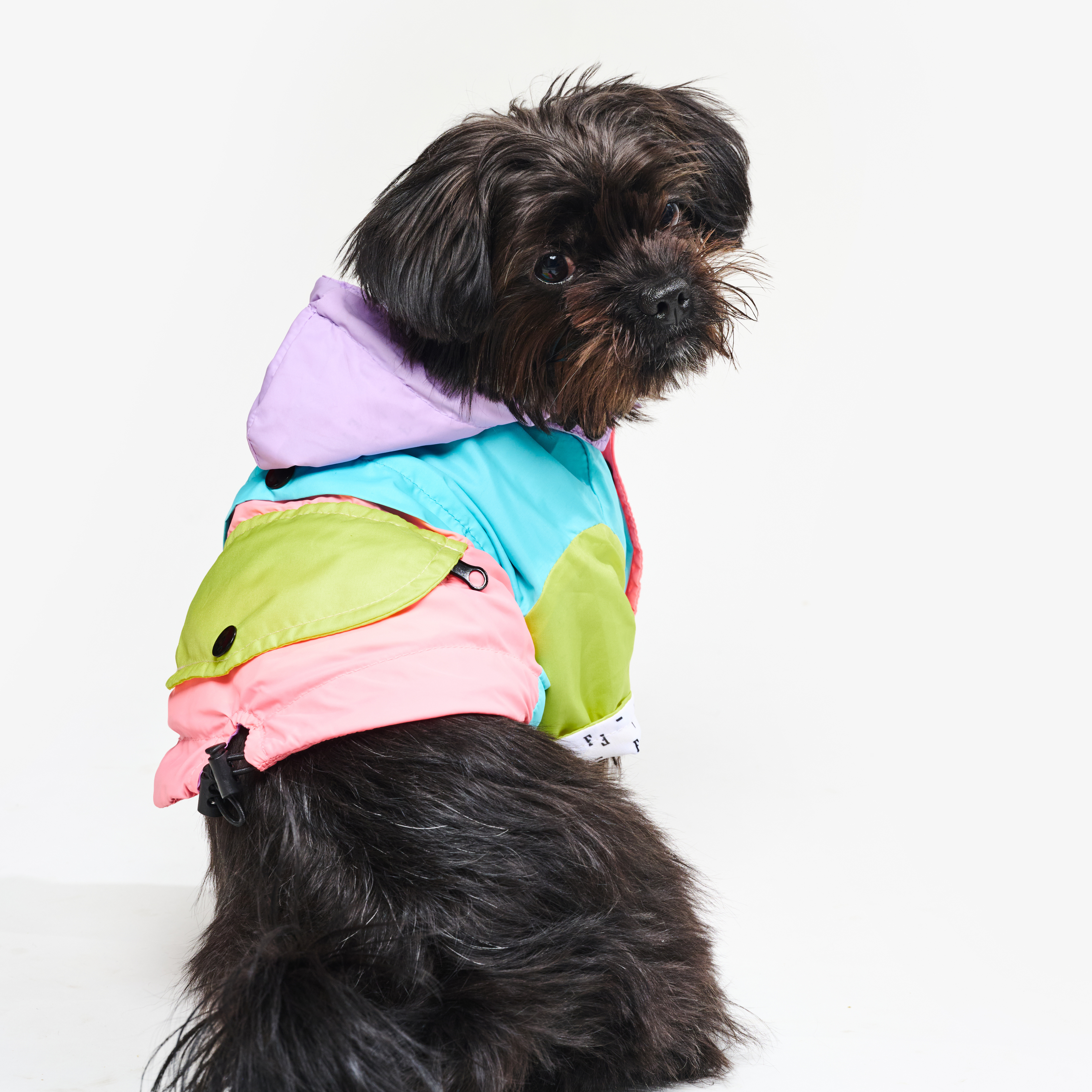 Chaqueta impermeable Para Perro Pastel
