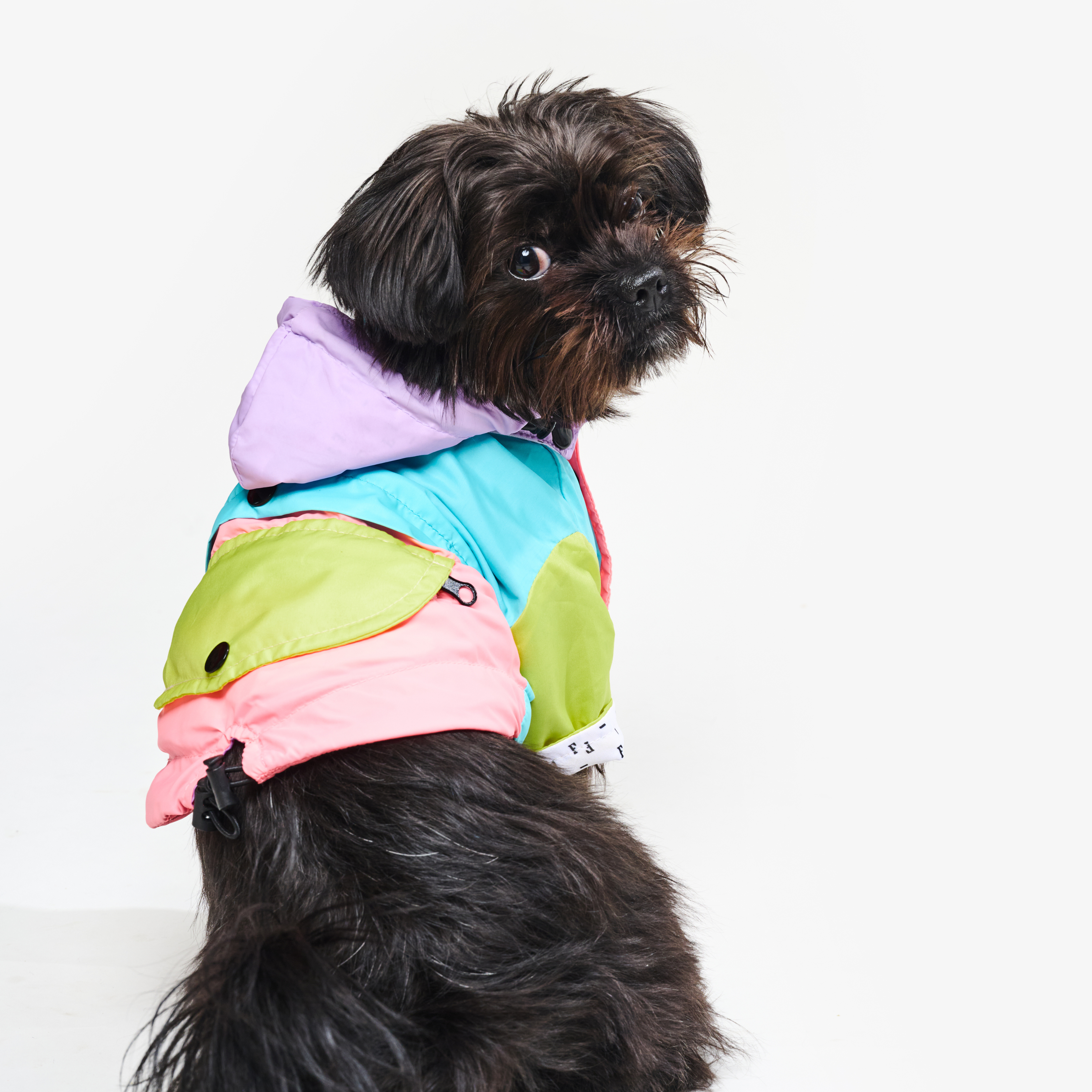 Chaqueta impermeable Para Perro Pastel