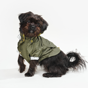 Chaqueta impermeable para perro Verde Militar