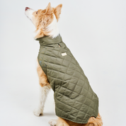Chaleco deportivo BASIC verde militar
