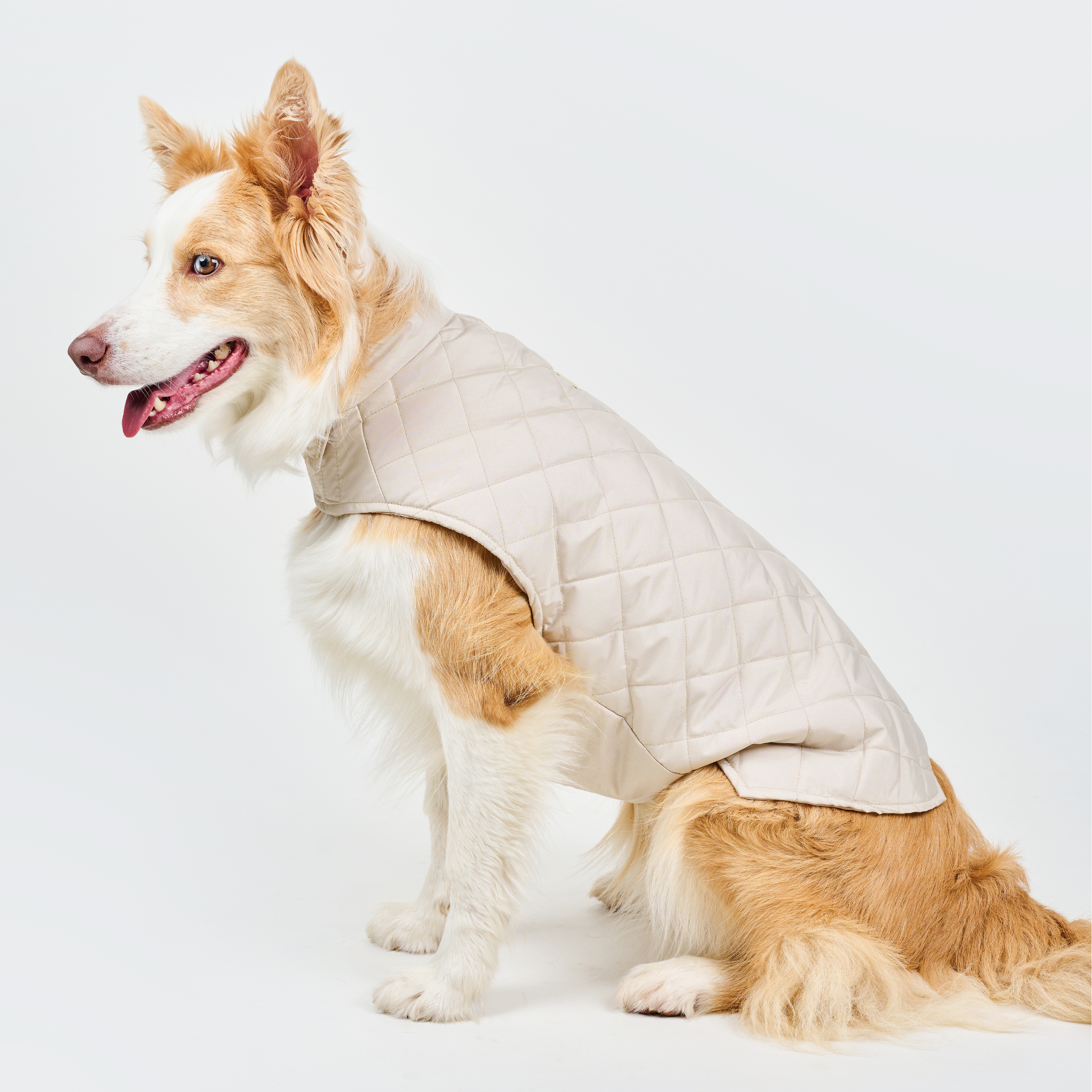 Chaleco deportivo BASIC beige