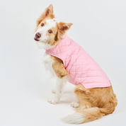 Chaleco deportivo BASIC rosa palido
