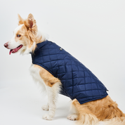 Chaleco deportivo BASIC azul navy