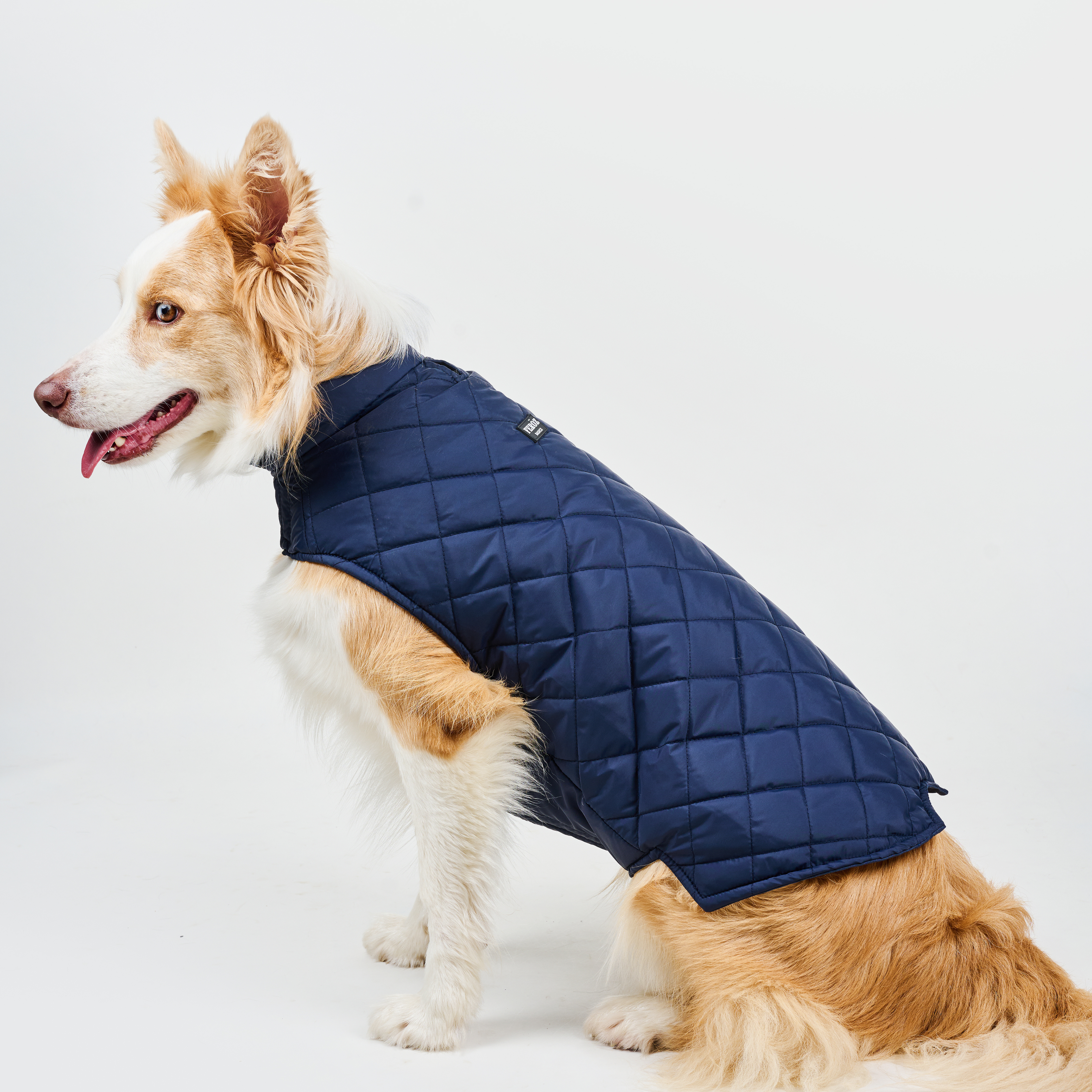 Chaleco deportivo BASIC azul navy