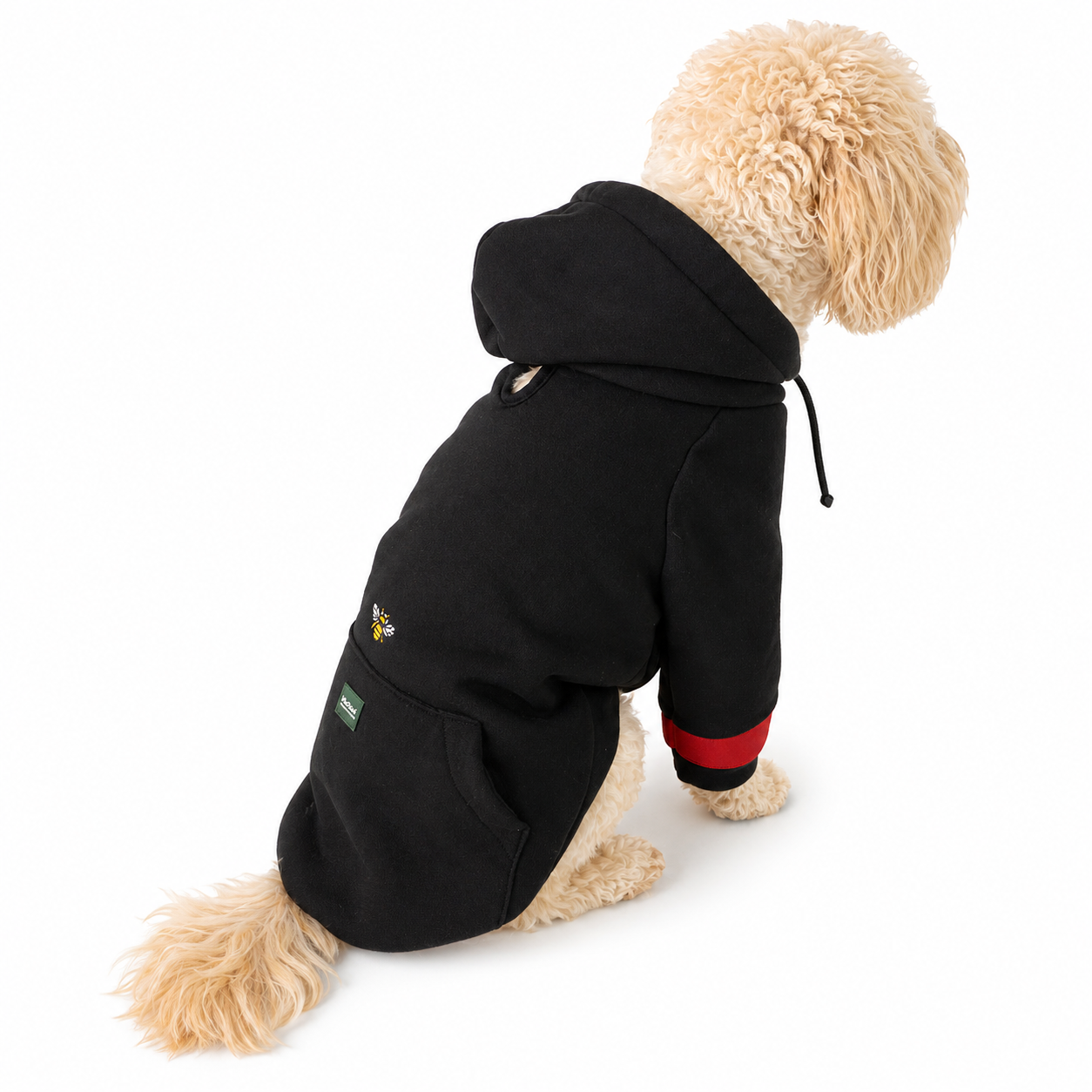 Hoodie_Back.png