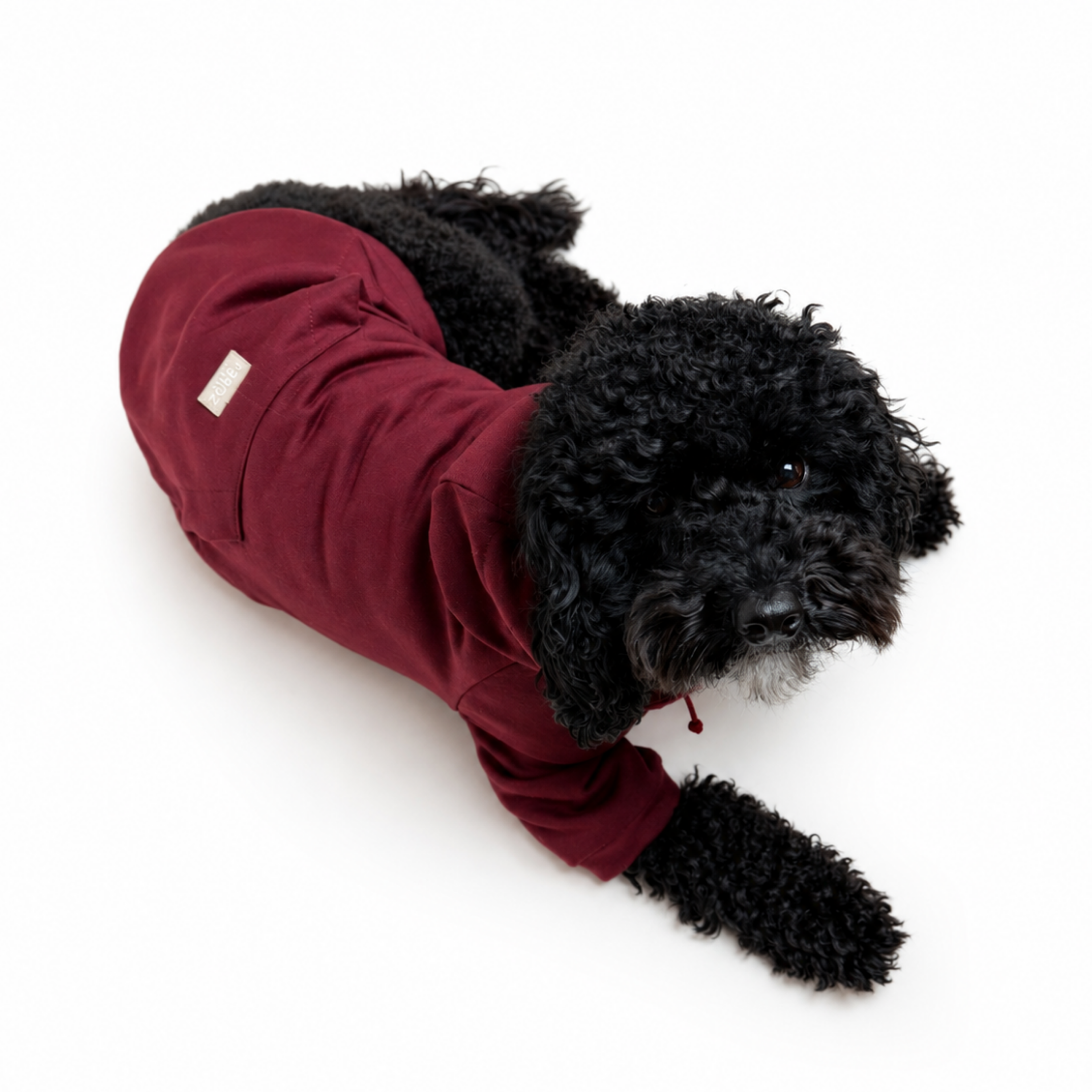 Perro_con_saco_vinotinto3.png
