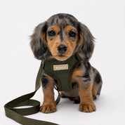Baby set BASIC Verde Militar