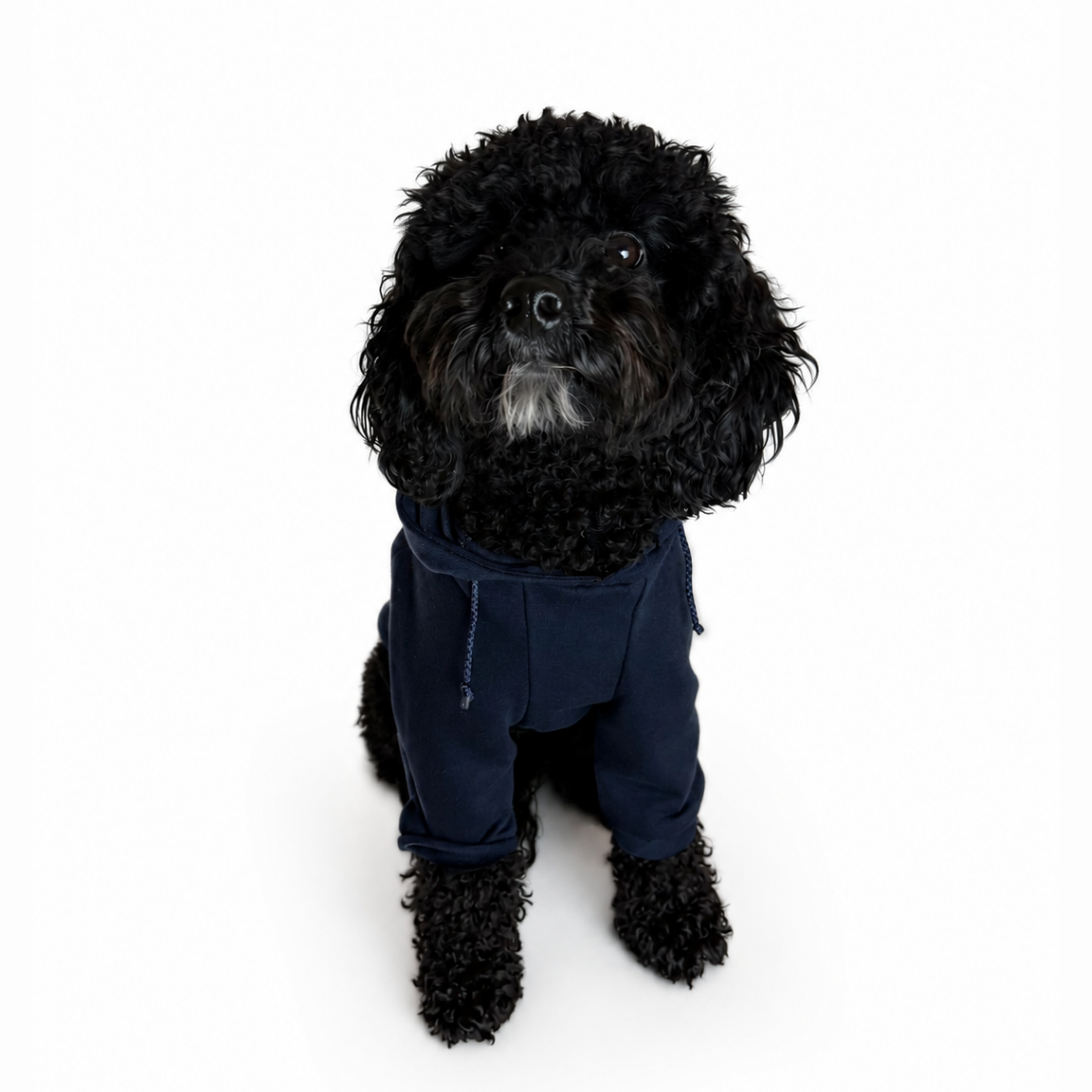 Hoodie BASIC Azul Navy