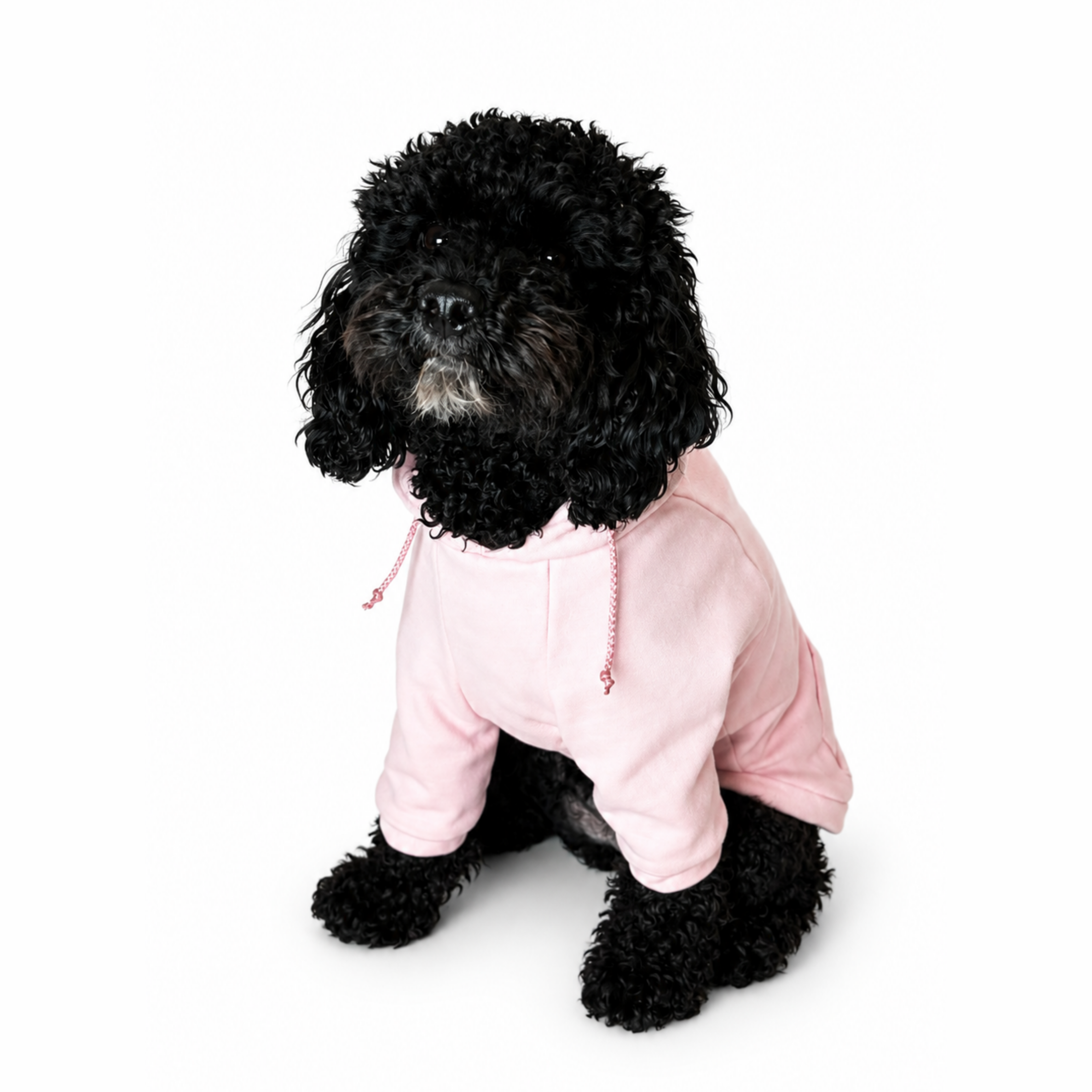 Hoodie BASIC Rosa Pálido