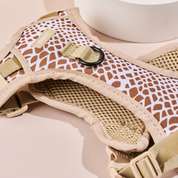 Arnes Deportivo Safari Serpiente