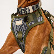 Arnes Deportivo Safari Zebra