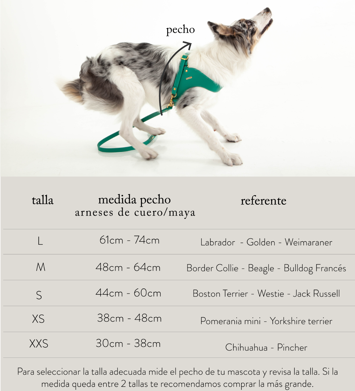 Tablasdetallasproductos2024_1d0991d2-a9c7-43fc-b6a7-0e97edfb4187.png