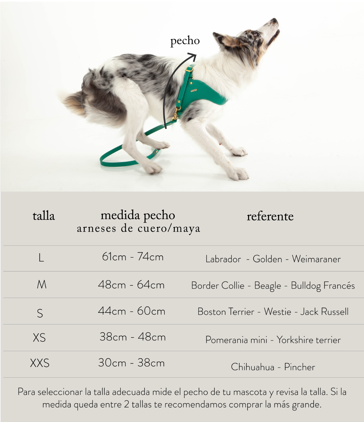 Tablasdetallasproductos2024_24f97f81-7d99-4adc-b2c7-caa3b8ab5d51.png