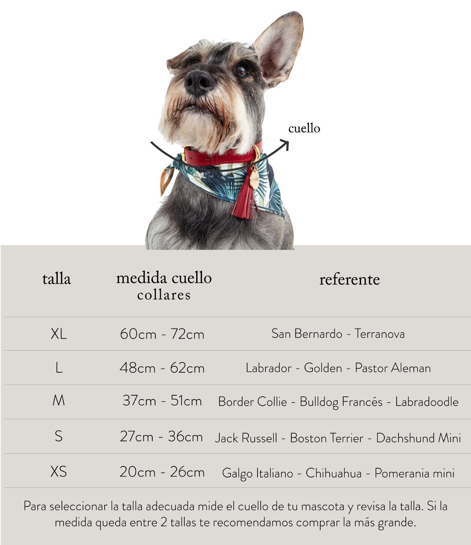 Collar Artisan Maya – Feroz Pet Fashion - Main Image