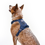 Arnés deportivo BASIC Vinotinto