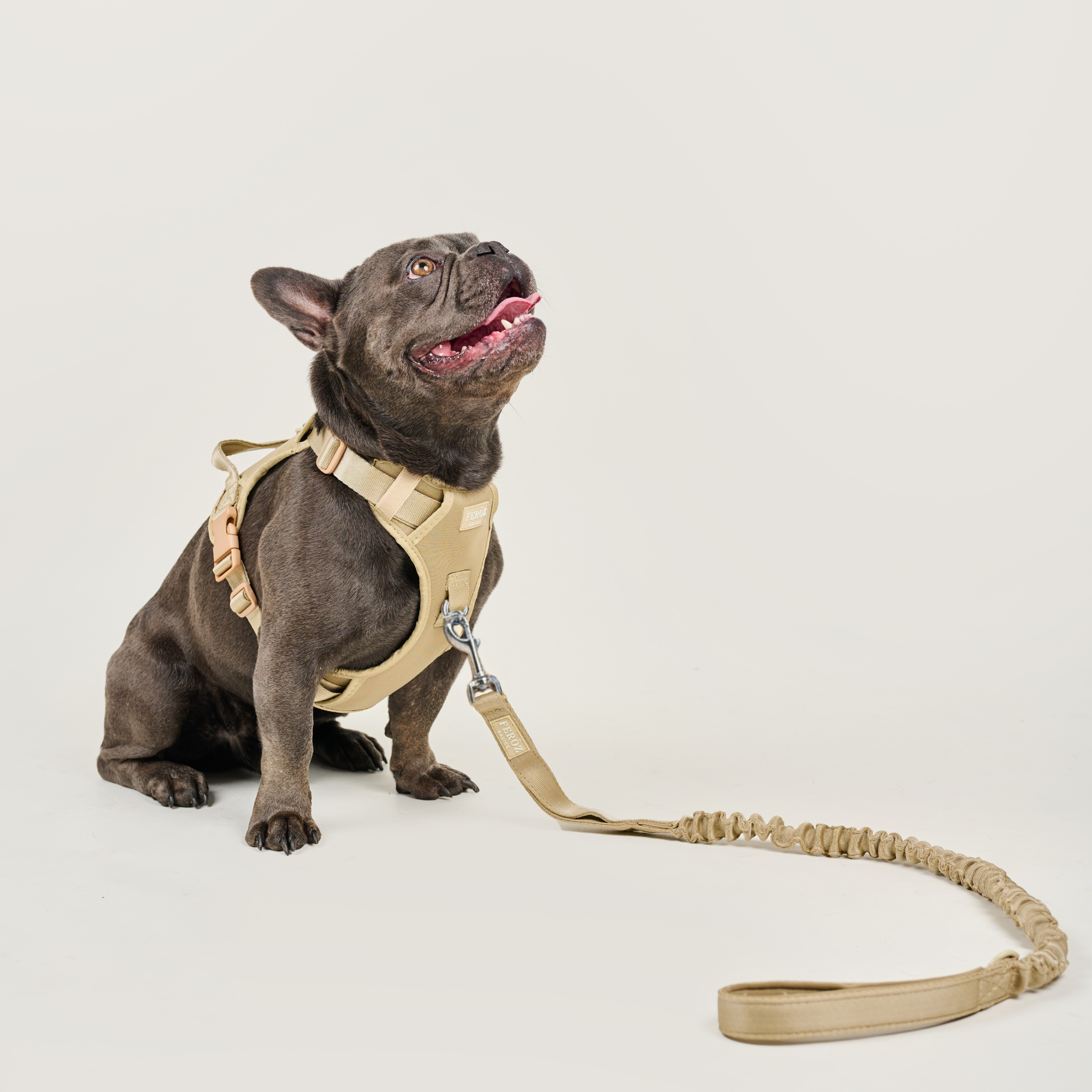 Correa reata expansible BASIC Beige