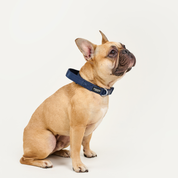 Collar reata BASIC Azul Navy