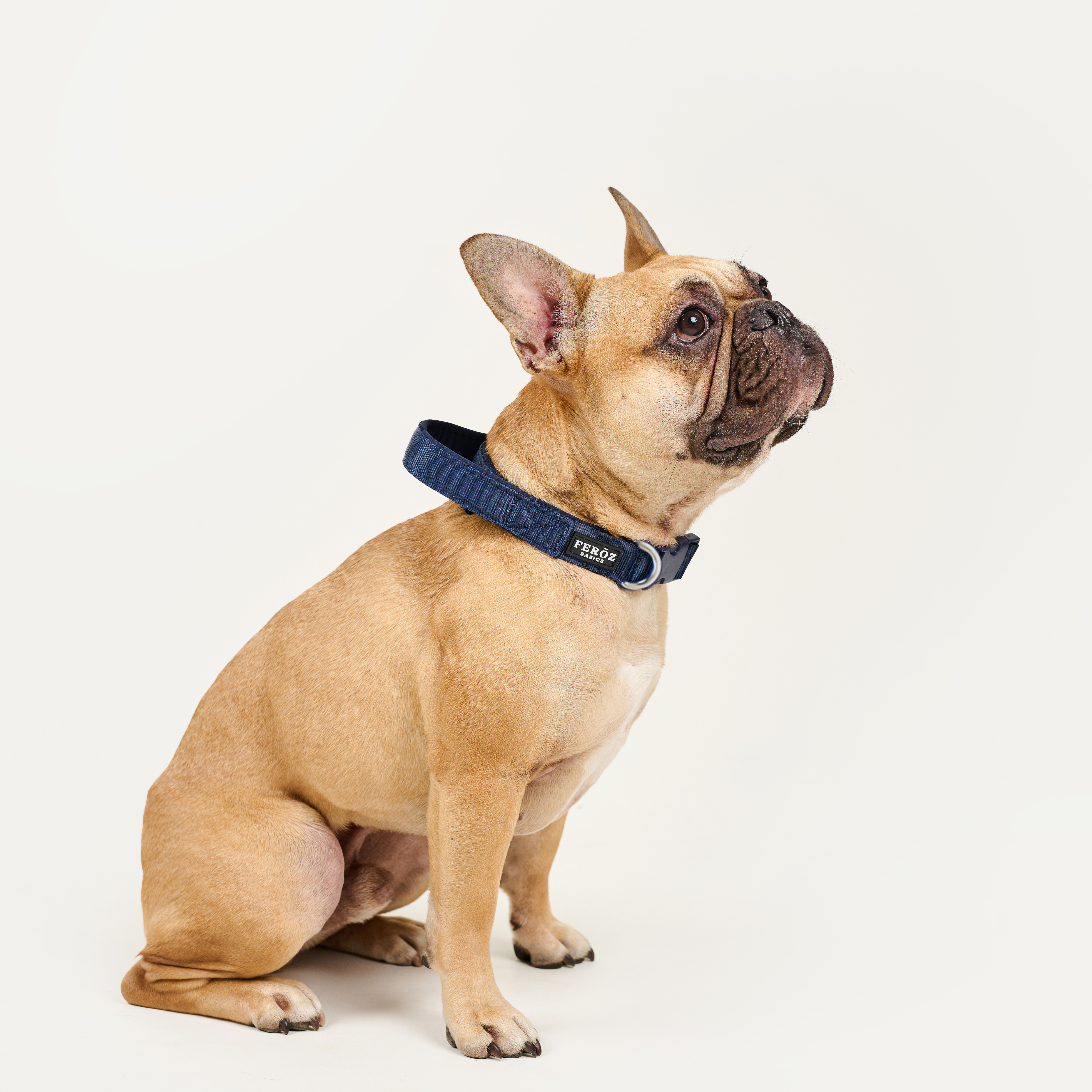 Collar reata BASIC Azul Navy