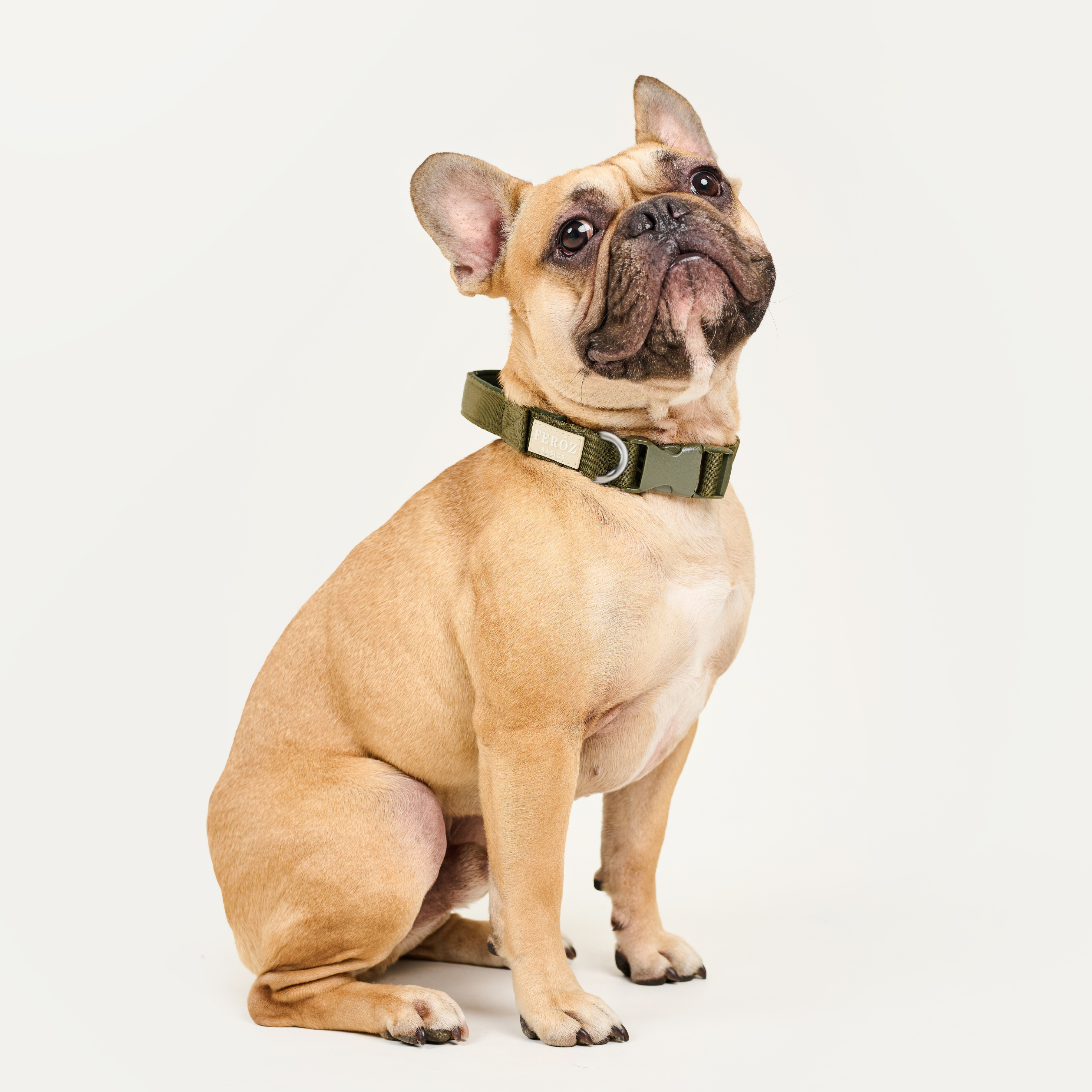 Collar reata BASIC Verde Militar