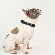 Collar reata BASIC Negro