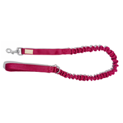 Correa reata expansible BASIC Vinotinto