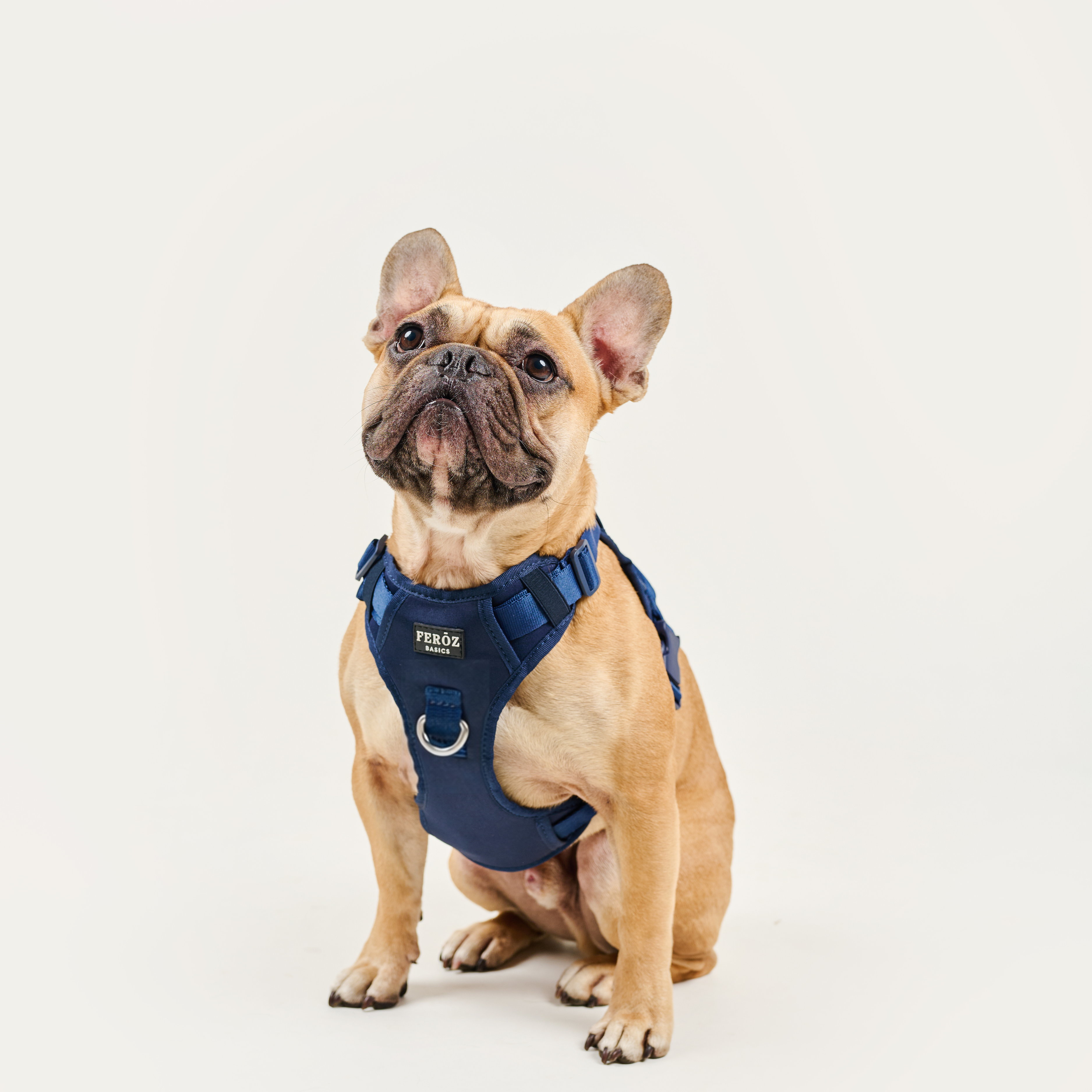 Arnés deportivo BASIC Azul Navy