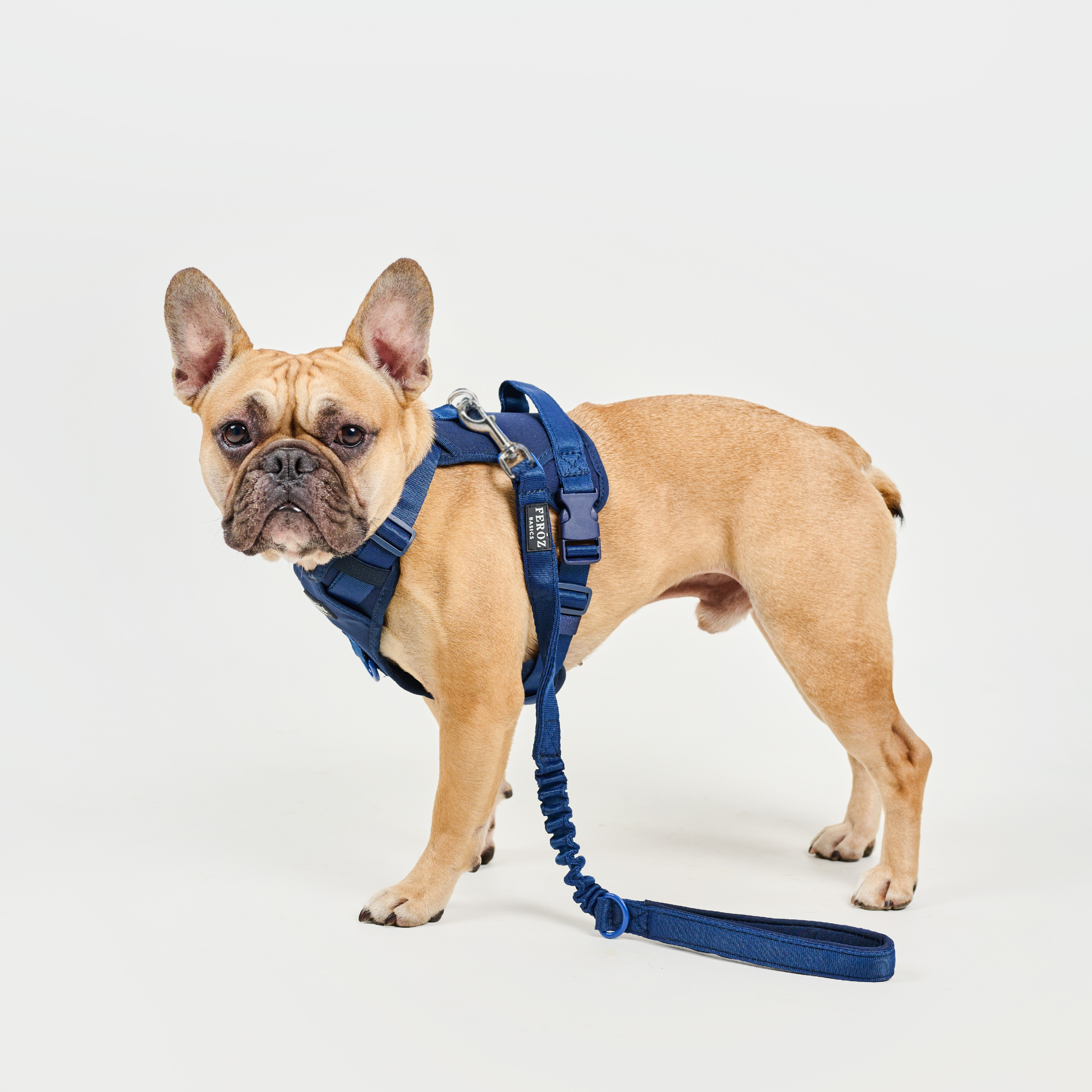 Arnés deportivo BASIC Azul Navy