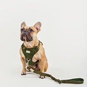 Arnés deportivo BASIC Verde Militar