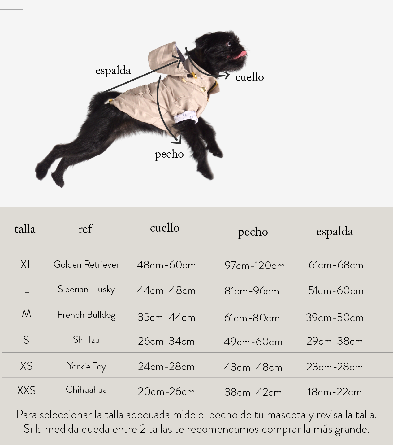 ropa_73250701-fc42-4ef6-9935-d4b054a4f441.png