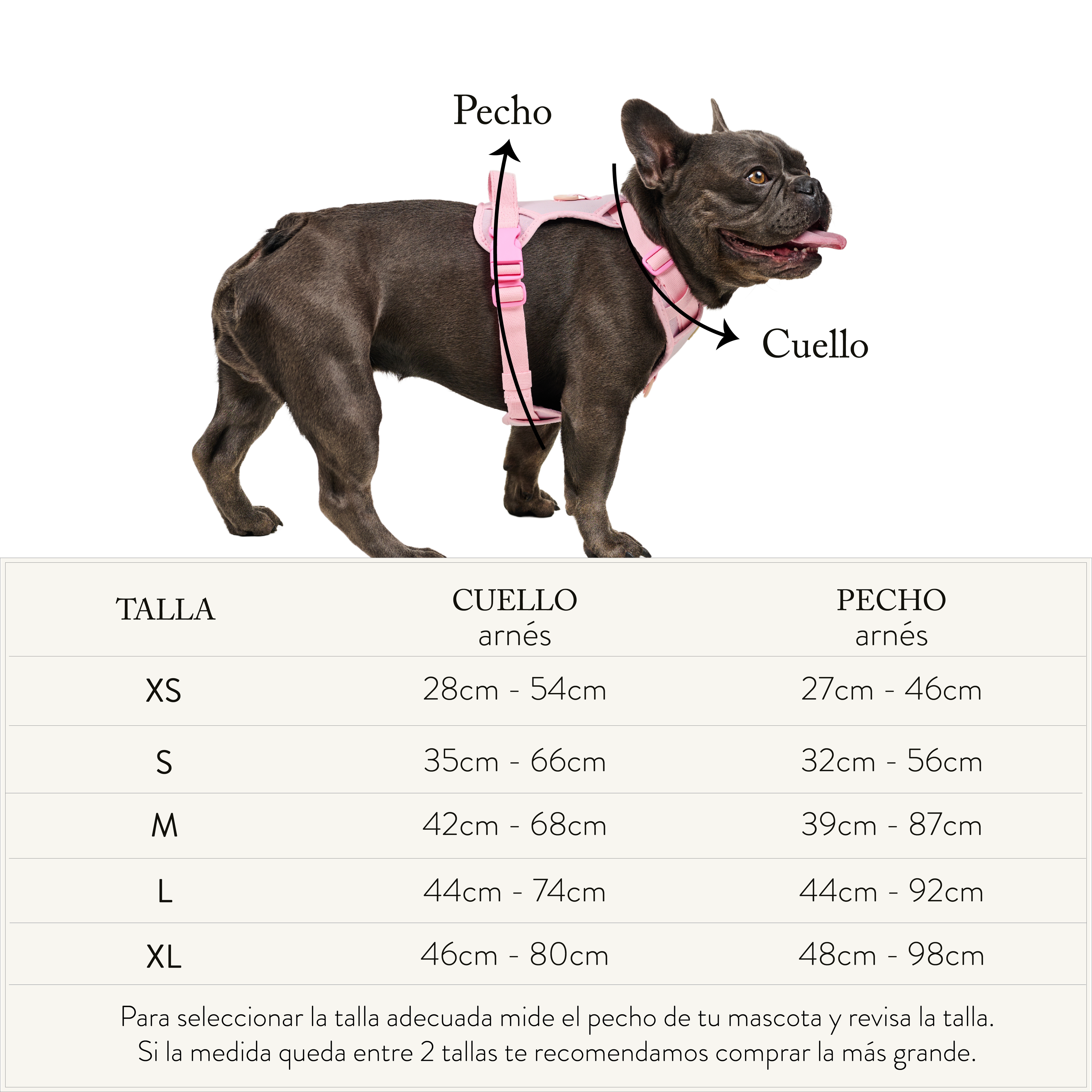tablas_de_tallas-06.png
