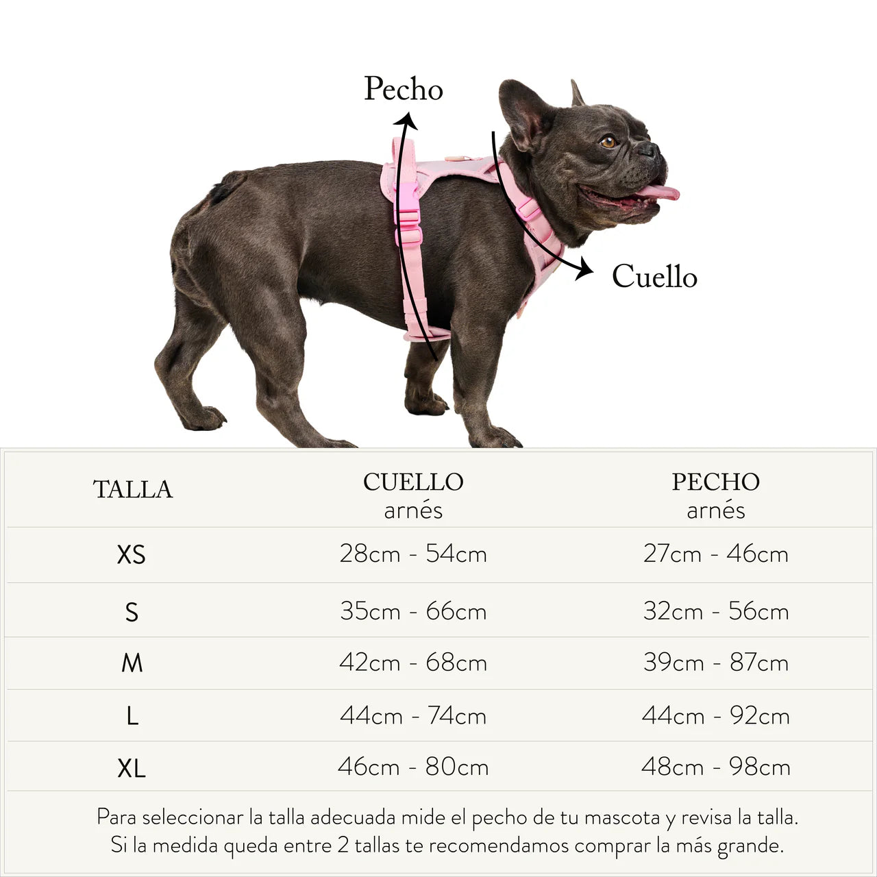 tablas_de_tallas-06_1_c6c18baa-aeb8-4c8e-86cb-d3ef44de1c80.webp