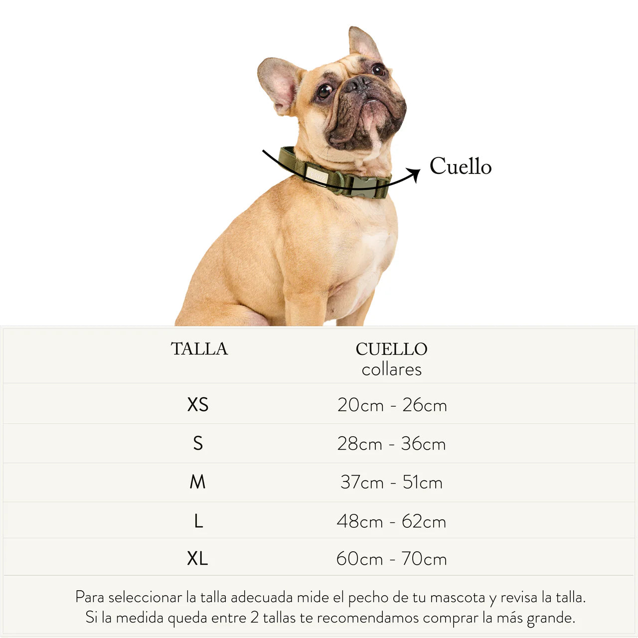 tablas_de_tallas-08.webp