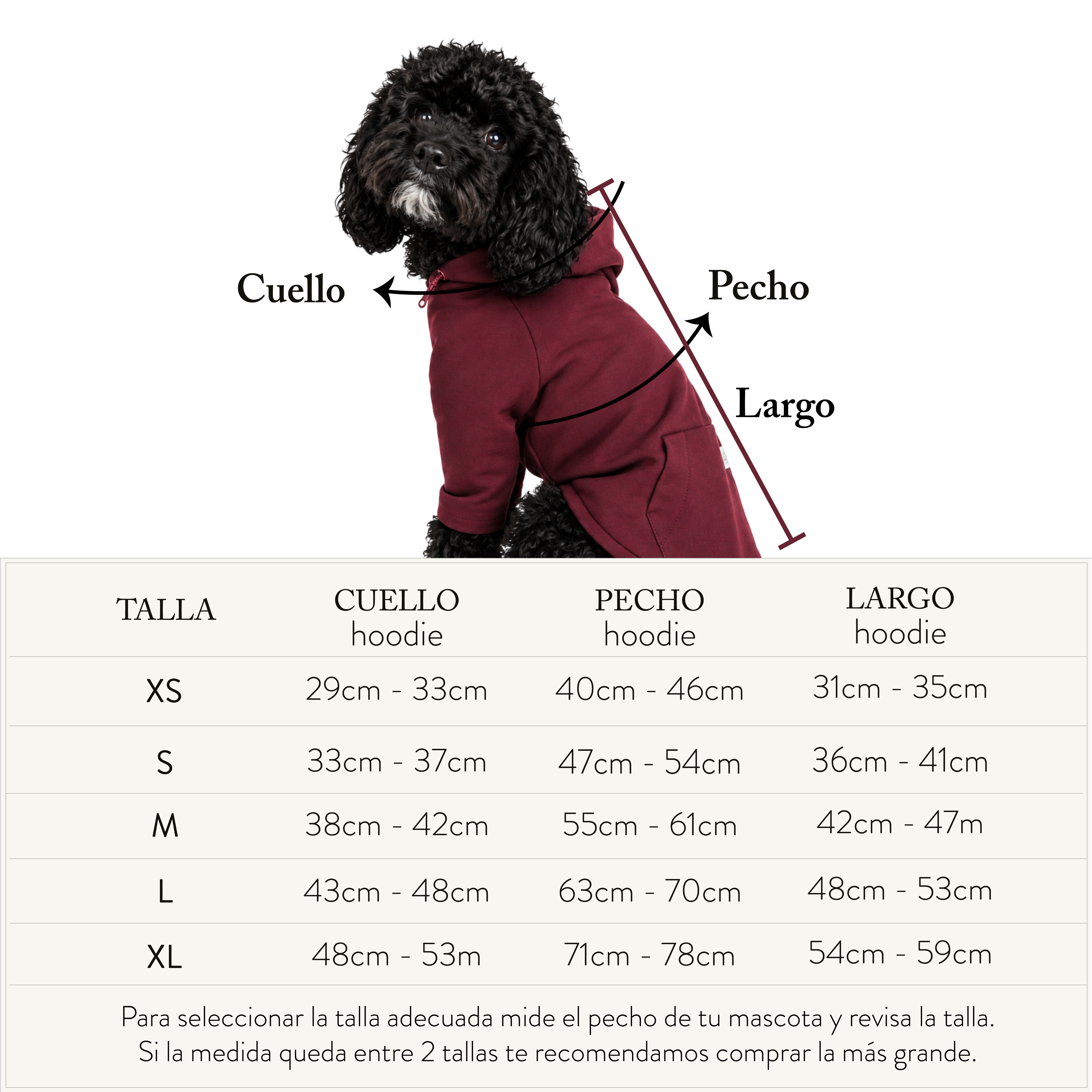 Hoodie BASIC Vinotinto