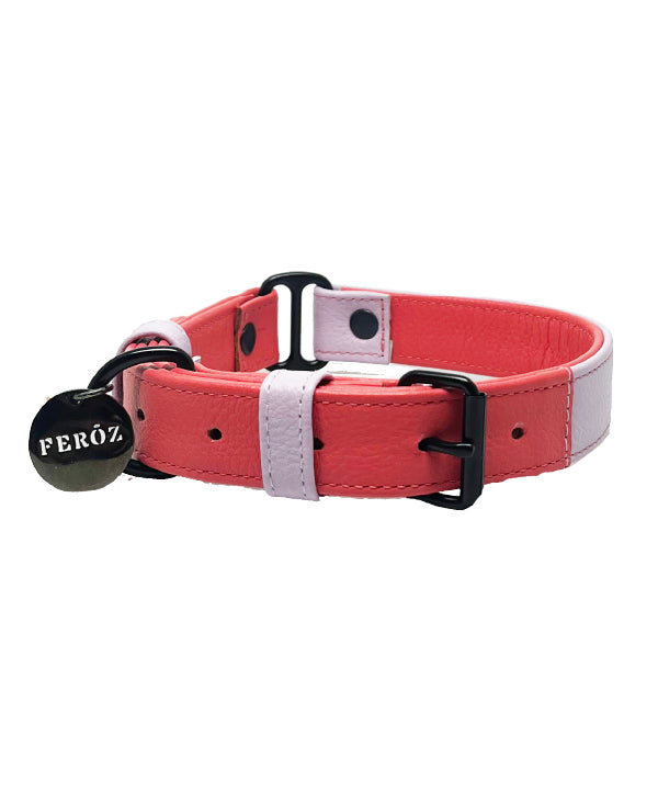 Collar Para Perro Cuero Pastel Lila y Sandia