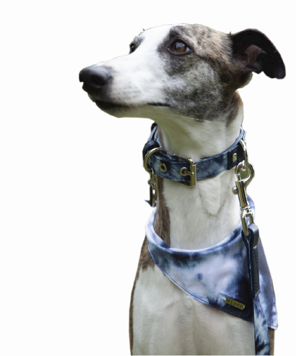 Pañoleta Para Perro y Gato Tie Dye Azul